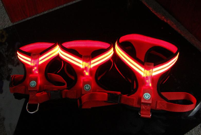 LED Dog Harness – Adjustable, Lightweight, and Rainproof