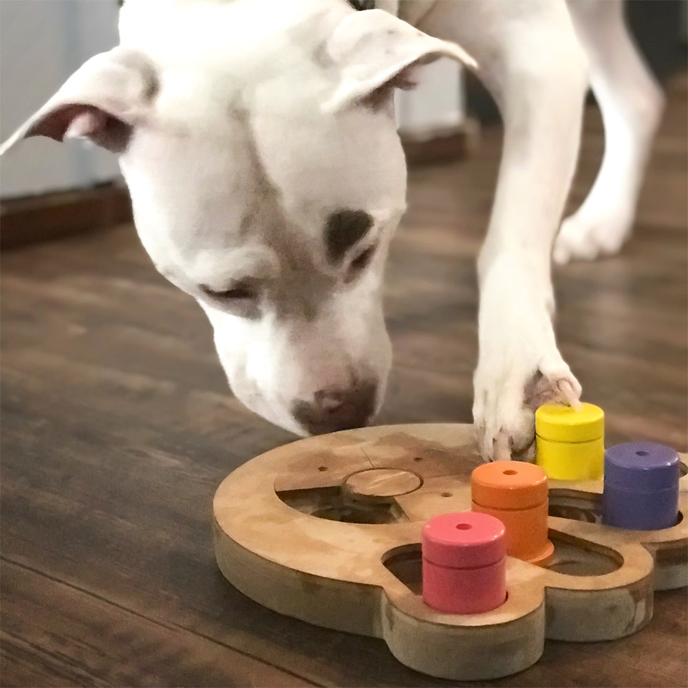 Brainiac Busy Paw™ Interactive Treat Puzzle Toy