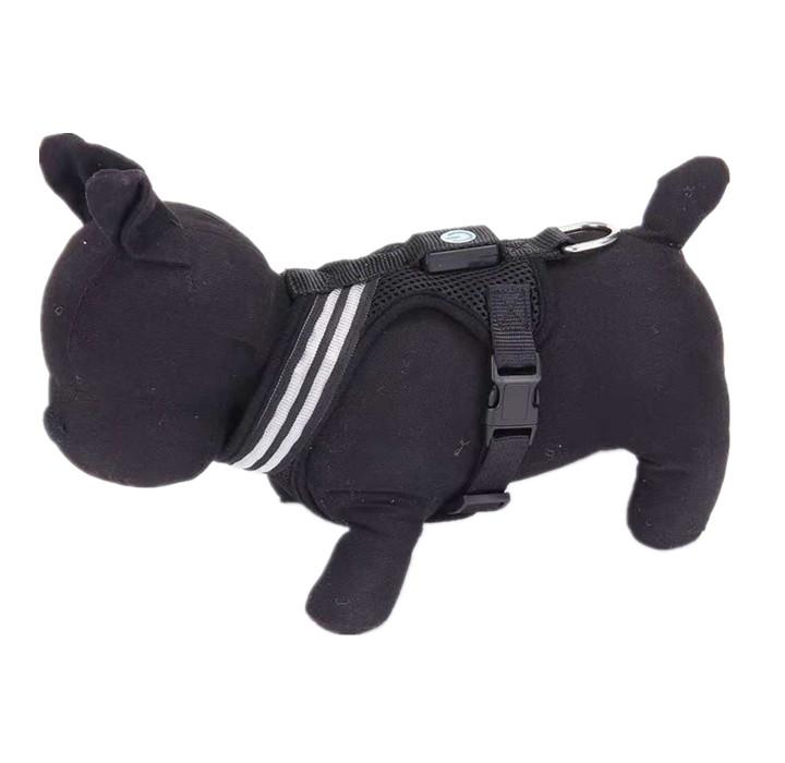 LED Dog Harness – Adjustable, Lightweight, and Rainproof