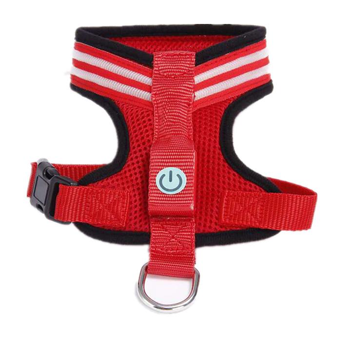 LED Dog Harness – Adjustable, Lightweight, and Rainproof
