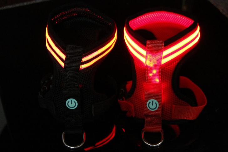 LED Dog Harness – Adjustable, Lightweight, and Rainproof