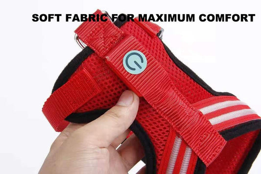 LED Dog Harness – Adjustable, Lightweight, and Rainproof