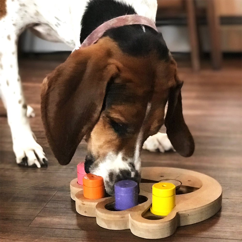Brainiac Busy Paw™ Interactive Treat Puzzle Toy