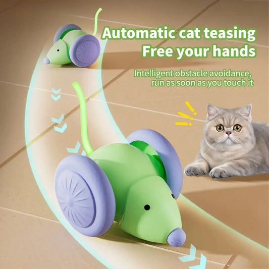 Interactive Electric Mouse Car Cat Toy – Automatic Pet Teaser